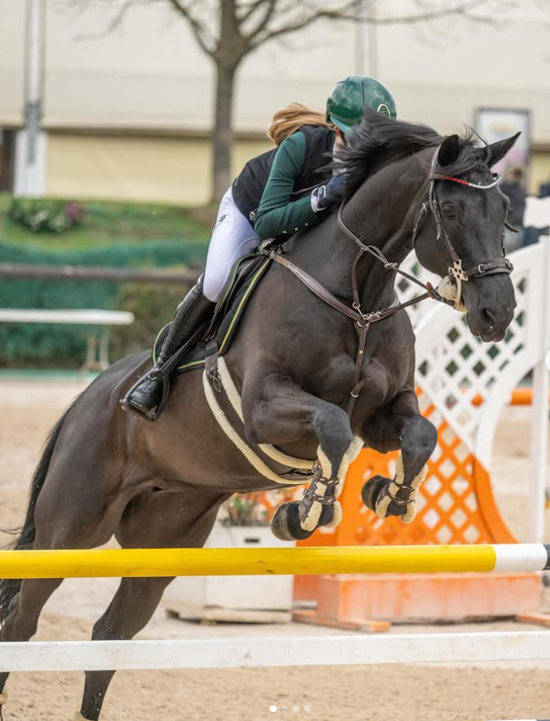 Diletta Marchioro sul cavallo Lime